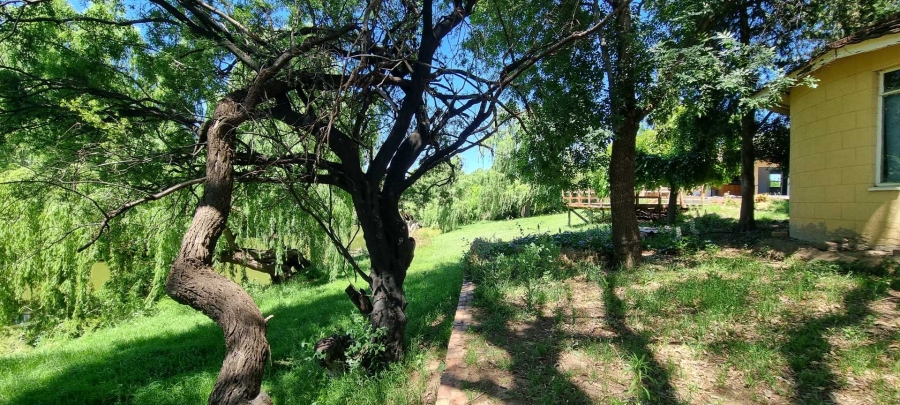 5 Bedroom Property for Sale in Roodewal Free State